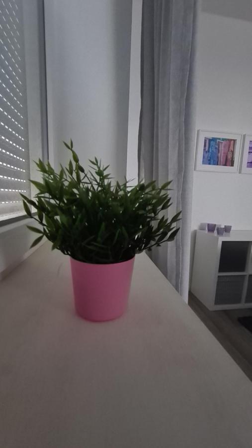 Appartement Lavendel, Ferienwohnung Mit Eigenem Eingang Wie Ein Kleines Haus Bad Salzuflen Bagian luar foto